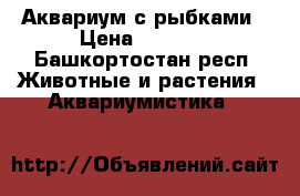 Аквариум с рыбками › Цена ­ 2 000 - Башкортостан респ. Животные и растения » Аквариумистика   